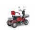 Электротрицикл Rutrike Бумеранг