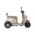 Электротрицикл Rutrike Gelbert Ogma 48V/60V 650Вт