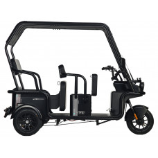 Электротрицикл Wanshida NIPLA 570 60V 1000Вт